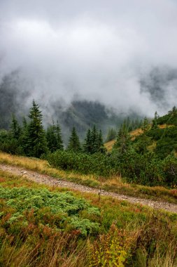 Slovakça Tatra Dağları'nda bulutların üzerinde yürüme. sisli sonbahar sabahı turistik rotalar taşlarla işaretlenmiş