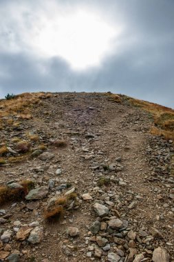Slovakça Tatra Dağları'nda bulutların üzerinde yürüme. sisli sonbahar sabahı turistik rotalar taşlarla işaretlenmiş