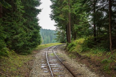 ıslak yeşil orman dalgalı günlük demiryolu parça ile Slovakya Orava içinde taze çayır