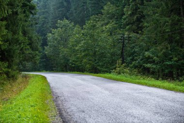 Ormandaki ağaçlar ve beyaz çizgiler ile ıslak yüzey kaplama sis ile dağ bölgesinde dalgalı asfalt yol. Slovakya