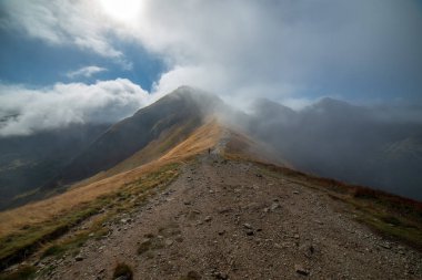 Slovakça Tatra Dağları'nda bulutların üzerinde yürüme. sisli sonbahar sabahı turistik rotalar taşlarla işaretlenmiş