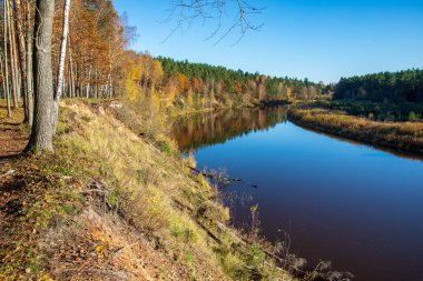 mavi gökyüzü ve bulutlar Gauja Letonya Nehri'nin sakin suda sonbaharda yansıtan. nehir kıyısında yürümek. sonbahar günü temizleyin. geniş açılı görünüş