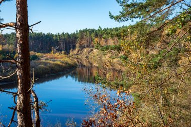 mavi gökyüzü ve bulutlar Gauja Letonya Nehri'nin sakin suda sonbaharda yansıtan. nehir kıyısında yürümek. sonbahar günü temizleyin. geniş açılı görünüş