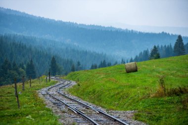ıslak yeşil orman dalgalı günlük demiryolu parça ile Slovakya Orava içinde taze çayır