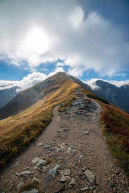 Slovakça Tatra Dağları'nda bulutların üzerinde yürüme. sisli sonbahar sabahı turistik rotalar taşlarla işaretlenmiş