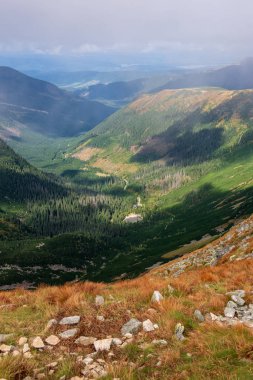Slovakça Tatra Dağları'nda bulutların üzerinde yürüme. sisli sonbahar sabahı turistik rotalar taşlarla işaretlenmiş