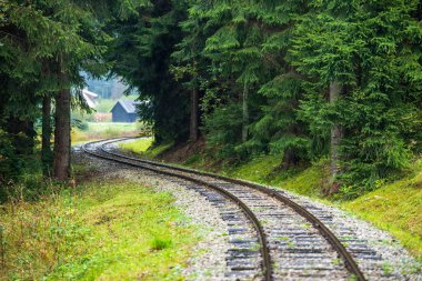 ıslak yeşil orman dalgalı günlük demiryolu parça ile Slovakya Orava içinde taze çayır