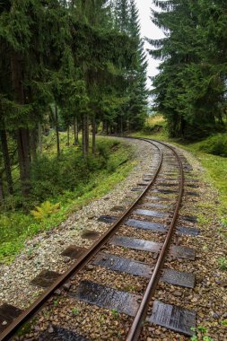 ıslak yeşil orman dalgalı günlük demiryolu parça ile Slovakya Orava içinde taze çayır