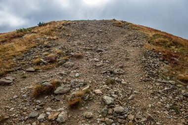 Slovakça Tatra Dağları'nda bulutların üzerinde yürüme. sisli sonbahar sabahı turistik rotalar taşlarla işaretlenmiş