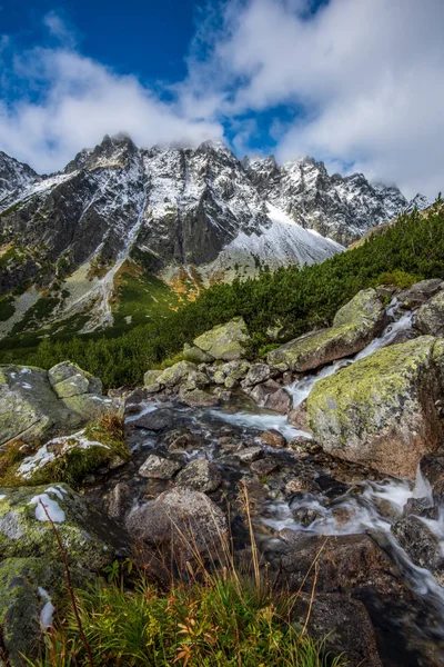 Slowaakse Tatragebergte Zomer Groene Hellingen Met Bergtoppen Bedekt Met Sneeuw — Stockfoto