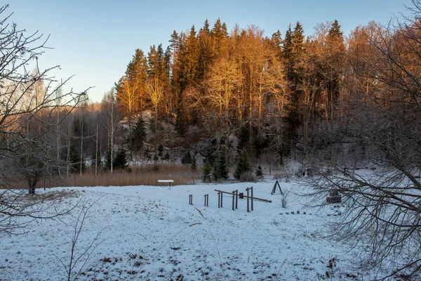 Sol Nascendo Floresta Coberta Neve Pesada Primeiros Raios Luz Brilhando — Fotografia de Stock