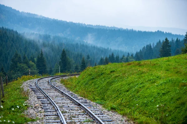 ıslak yeşil orman dalgalı günlük demiryolu parça ile Slovakya Orava içinde taze çayır