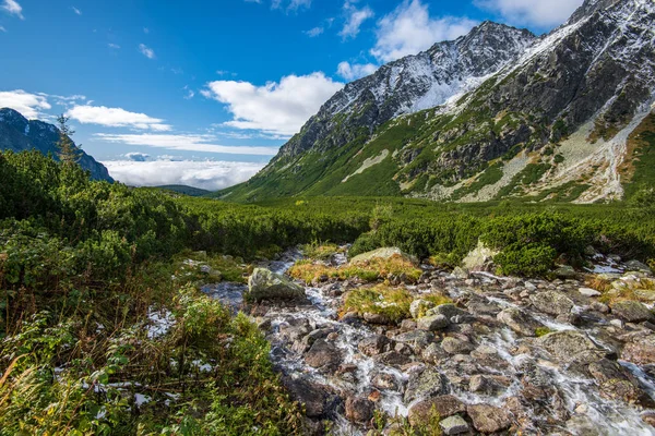 Slowaakse Tatragebergte Zomer Groene Hellingen Met Bergtoppen Bedekt Met Sneeuw — Stockfoto