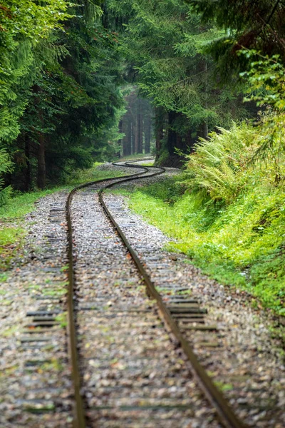 Wavy Log Railway Tracks Wet Green Forest Fresh Meadows Slovakia — Stock Photo, Image