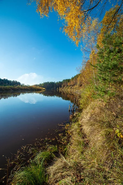 Céu Azul Nuvens Que Refletem Água Calma Rio Gauja Latvia — Fotografia de Stock