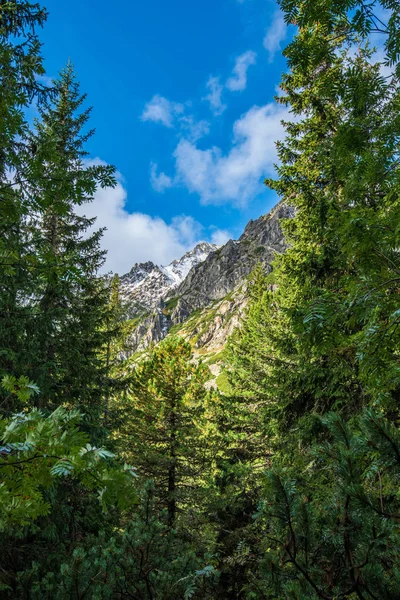 Tatry Słowackie Lecie Zielone Stoki Szczyty Górskie Pokryte Śniegiem Słoneczny — Zdjęcie stockowe