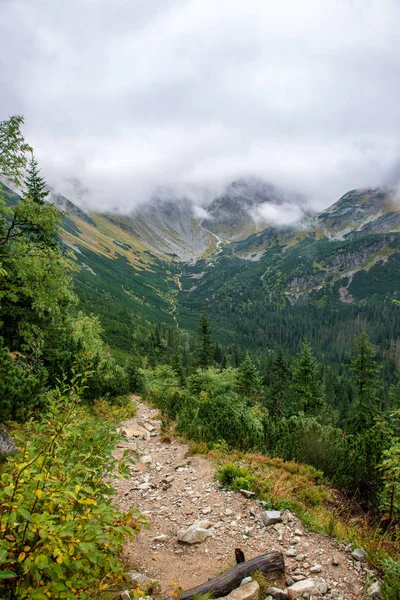 Camminando Sopra Nuvole Nelle Montagne Slovacche Dei Tatra Sentieri Turistici — Foto Stock