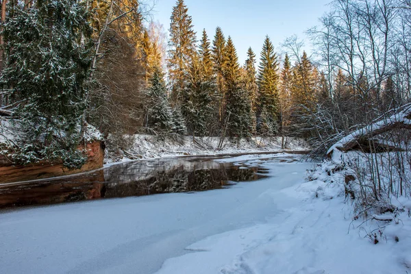 Sol Nascendo Floresta Coberta Neve Pesada Primeiros Raios Luz Brilhando — Fotografia de Stock