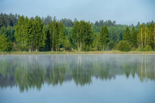 호수와 잔디와 반사에 — 스톡 사진