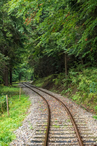 Wellige Bahngleise Feuchtgrünem Wald Mit Frischen Wiesen Der Slowakei Orava — Stockfoto