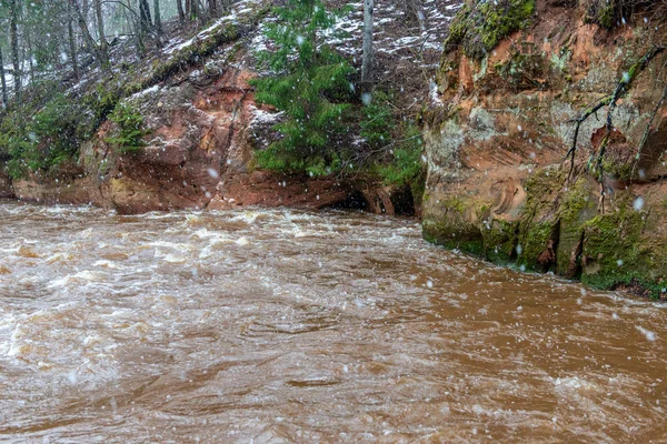 Snabb River Ström Vit Vinter Skog Molnig Dag Med Mörka — Stockfoto