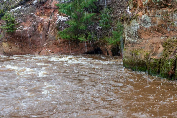 Ruisseau Rapide Dans Forêt Blanche Hiver Journée Nuageuse Avec Eau — Photo