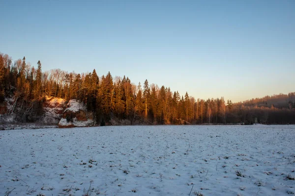 Sol Nascendo Floresta Coberta Neve Pesada Primeiros Raios Luz Brilhando — Fotografia de Stock