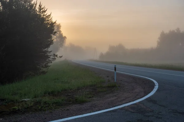 Empty Asphalt Road White Lines Painted Misty July Morning — Stock Photo, Image