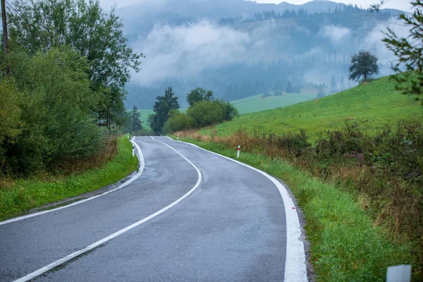 Faliste Asfaltową Drogą Górach Lesie Mgle Obejmujący Drzewa Mokrej Powierzchni — Zdjęcie stockowe