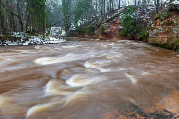 Fast River Stream White Winter Forest Cloudy Day Dark Brown — Stock Photo, Image