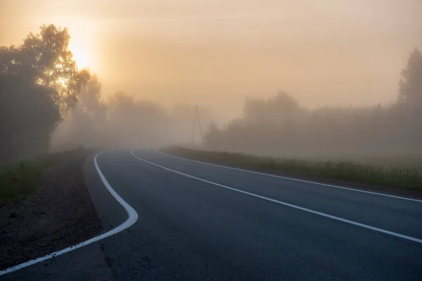 Empty Asphalt Road White Lines Painted Misty July Morning — Stock Photo, Image