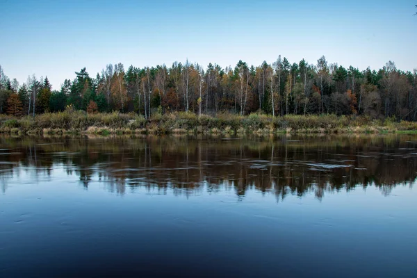 青い空と雲が秋にラトビアのガウヤ川の穏やかな水に反映します 川岸の海岸を散歩します 秋の日をオフにします 広角ビュー — ストック写真