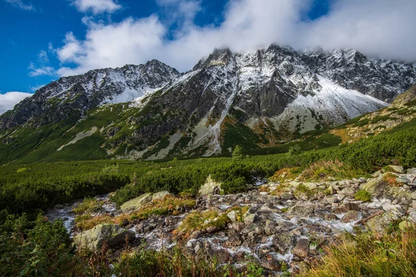 Όρη Τάτρα Σλοβακίας Καλοκαίρι Καταπράσινες Πλαγιές Βουνοκορφές Καλυμμένο Χιόνι Ηλιόλουστη — Φωτογραφία Αρχείου
