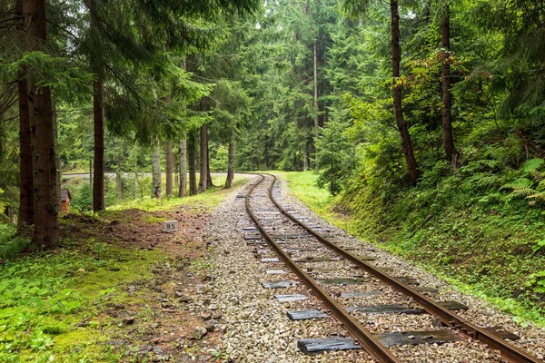 Wellige Bahngleise Feuchtgrünem Wald Mit Frischen Wiesen Der Slowakei Orava — Stockfoto