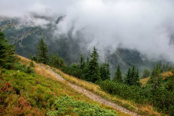 Andando Acima Das Nuvens Nas Montanhas Eslovacas Tatra Trilhas Turísticas — Fotografia de Stock
