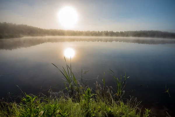 Nebliger Morgen See Mit Blauem Himmel Nassem Gras Und Nebelreflexen — Stockfoto