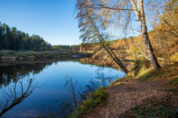 Cielo Blu Nuvole Che Riflettono Acque Calme Del Fiume Gauja — Foto Stock