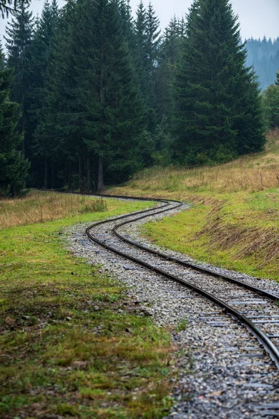 Wavy Log Railway Tracks Wet Green Forest Fresh Meadows Slovakia — Stock Photo, Image