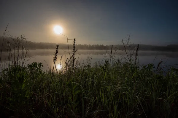 Matin Brumeux Bord Lac Avec Ciel Bleu Herbe Humide Réflexions — Photo