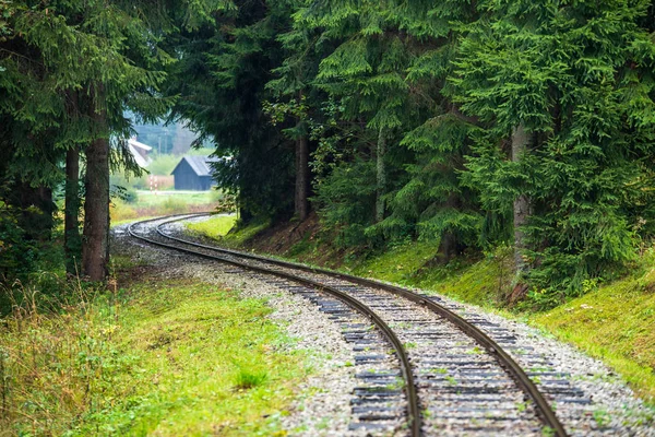 Wavy Log Railway Tracks Wet Green Forest Fresh Meadows Slovakia — Stock Photo, Image