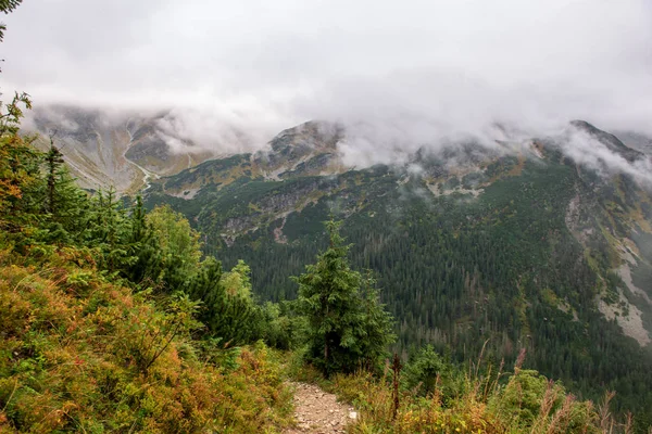 Marcher Dessus Des Nuages Dans Les Montagnes Slovaques Tatra Sentiers — Photo