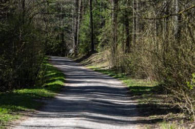 boş ülke stabilize yol çamur ile su birikintileri ve darbelere. kirli yol yüzeyi kum ve küçük taşlarla