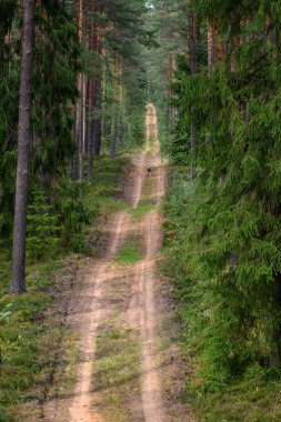 boş ülke stabilize yol çamur ile su birikintileri ve darbelere. kirli yol yüzeyi kum ve küçük taşlarla