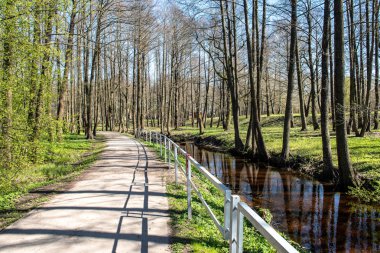 boş ülke stabilize yol çamur ile su birikintileri ve darbelere. kirli yol yüzeyi kum ve küçük taşlarla