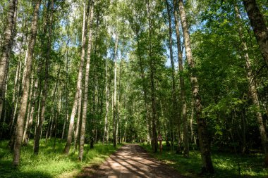 boş ülke stabilize yol çamur ile su birikintileri ve darbelere. kirli yol yüzeyi kum ve küçük taşlarla