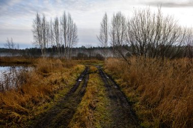 boş ülke stabilize yol çamur ile su birikintileri ve darbelere. kirli yol yüzeyi kum ve küçük taşlarla