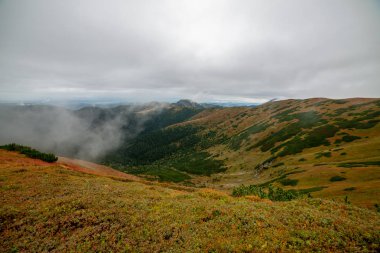 Slovakya'daki Tatra Dağları manzarasına. sis ve bulut dağ zirveleri renkli sonbaharda kaplı