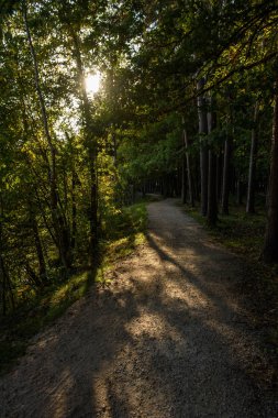 boş ülke stabilize yol çamur ile su birikintileri ve darbelere. kirli yol yüzeyi kum ve küçük taşlarla