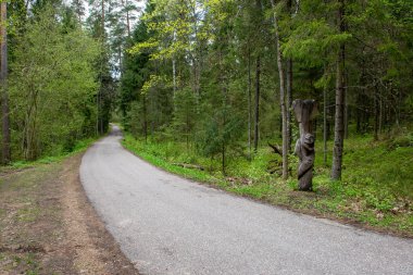 şehir dışında boş asfalt yol. temiz yüzey ve çizgiler ile kırsal driveway