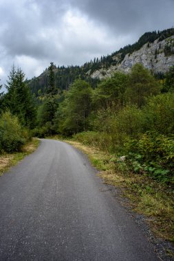şehir dışında boş asfalt yol. temiz yüzey ve çizgiler ile kırsal driveway